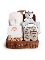 Baby-Shower-Gifts