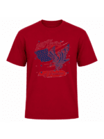 250 Years of Freedom Patriotic Eagle T-Shirt | USA Semiquincentennial American Flag 250th Anniversary Graphic Tee - Image 8