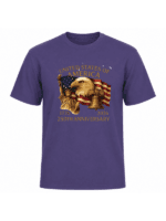 United States of America 250th Anniversary T-Shirt | Patriotic Eagle, Statue of Liberty & Liberty Bell 1776–2026 Graphic Tee - Image 7