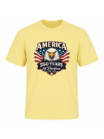 America 250 Years of Freedom Patriotic Eagle T-Shirt | USA 250th Anniversary 1776–2026 Graphic Tee - Image 9